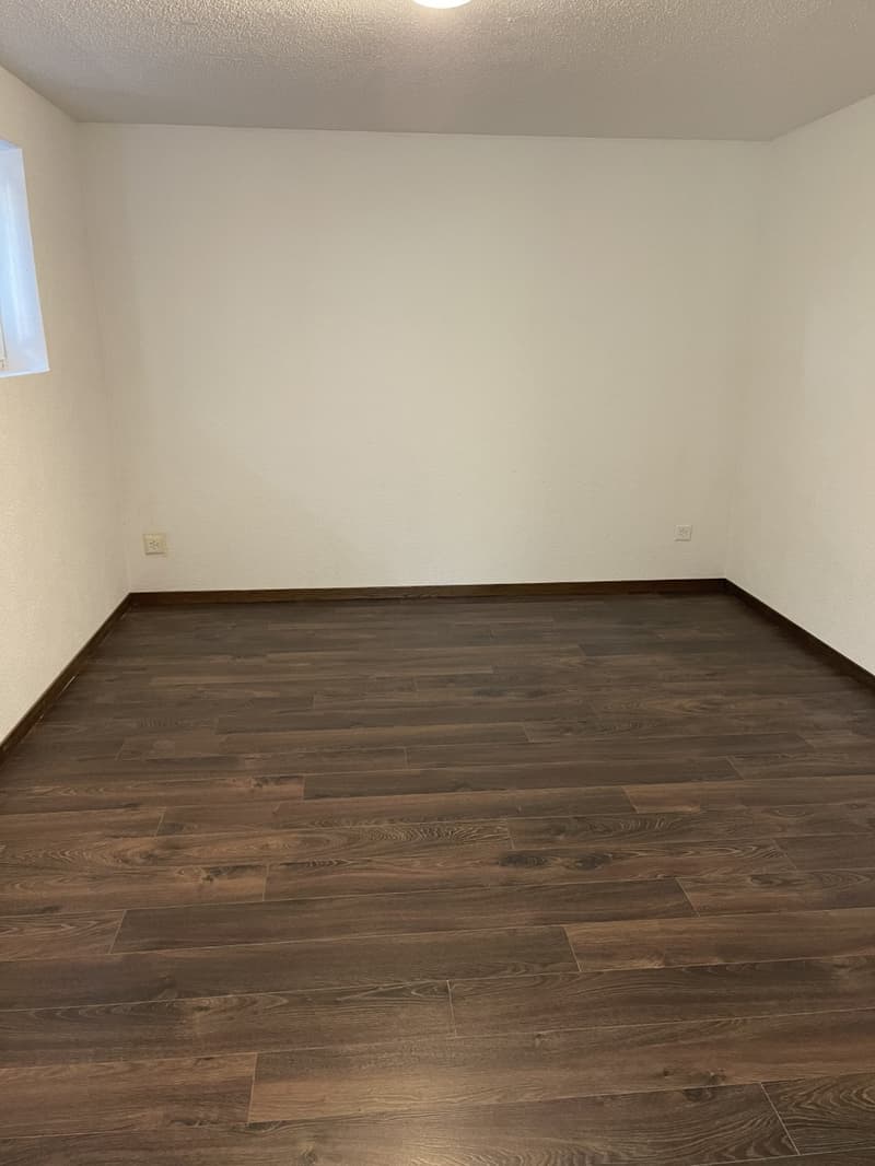 Moderne 2 - Zimmer - Wohnung mit grossem Sitzplatz zentral in Wauwil (4)