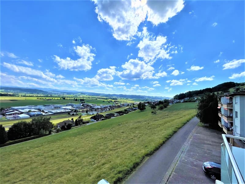 Preiswerte, grosszügige 4.5 Zimmer Wohnungen an Hanglage mit genialer Panoramasicht (23)