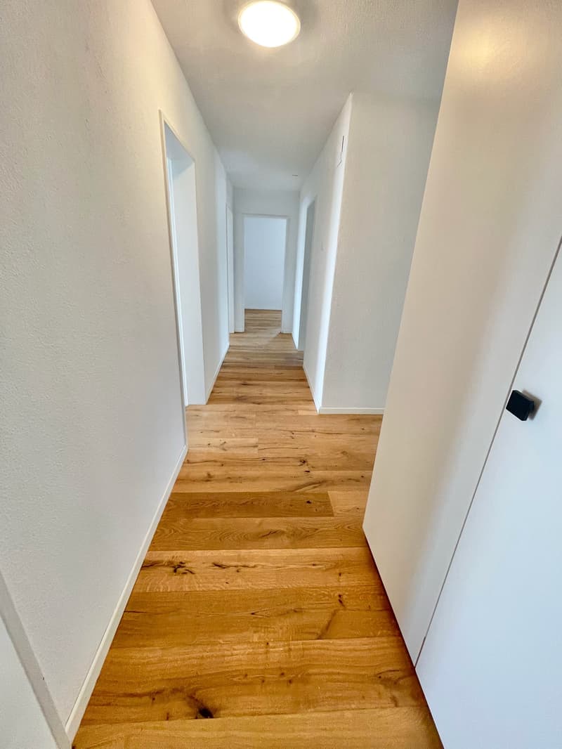 Preiswerte, grosszügige 4.5 Zimmer Wohnungen an Hanglage mit genialer Panoramasicht (3)