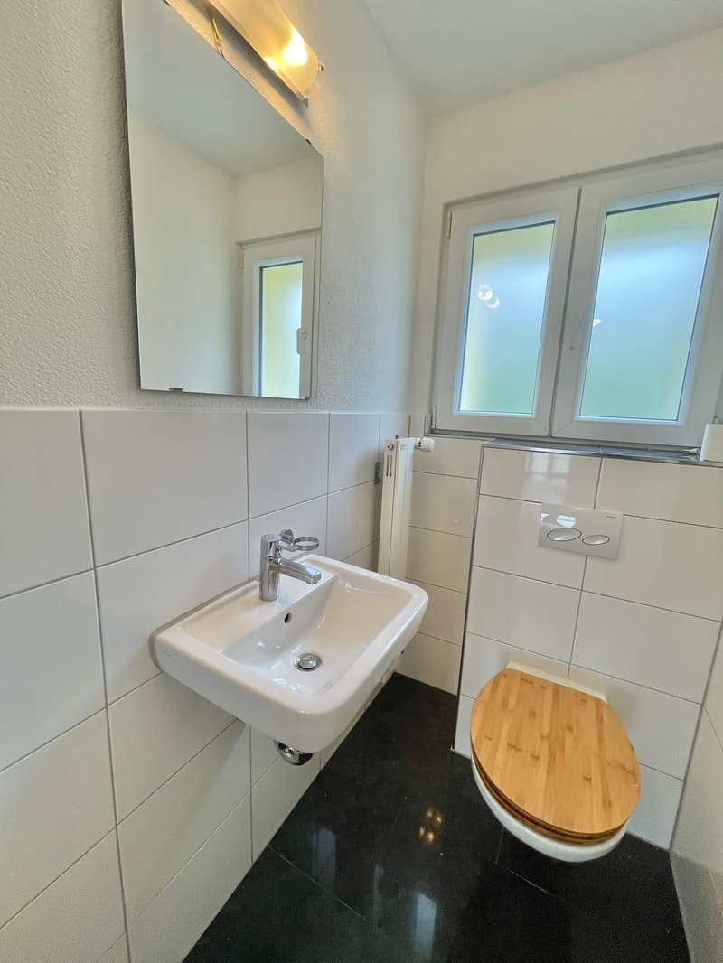 Preiswerte, grosszügige 4.5 Zimmer Wohnungen an Hanglage mit genialer Panoramasicht (14)