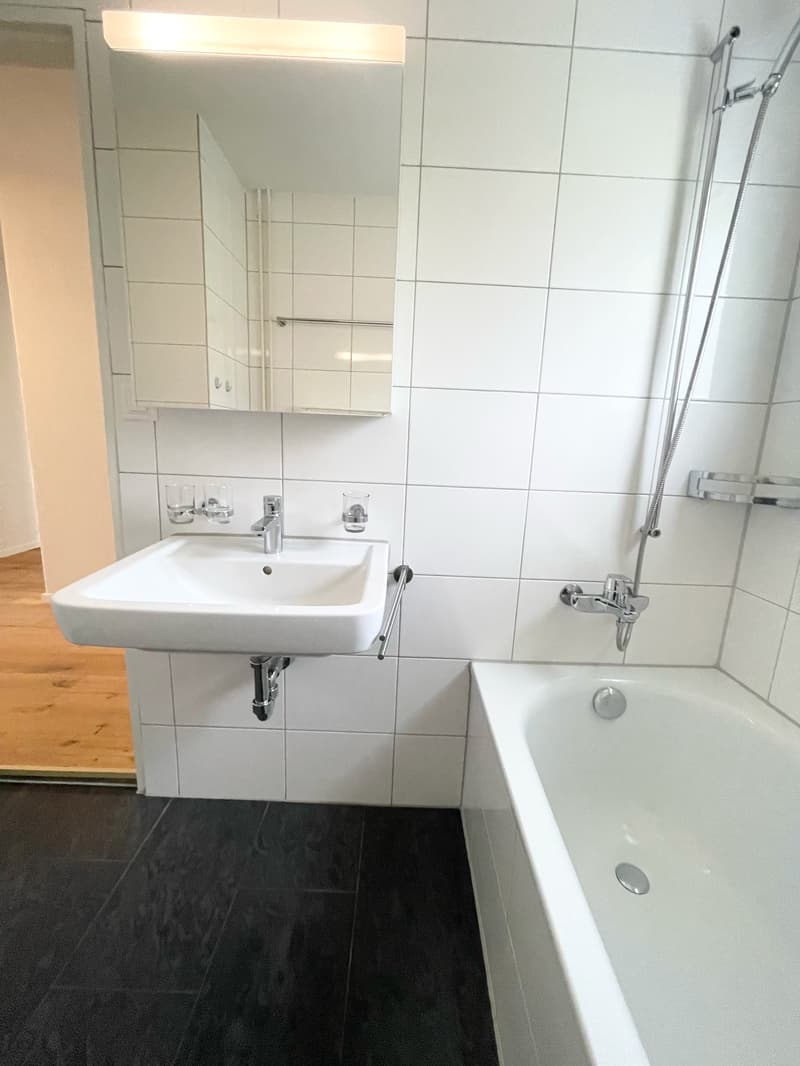Preiswerte, grosszügige 4.5 Zimmer Wohnungen an Hanglage mit genialer Panoramasicht (13)