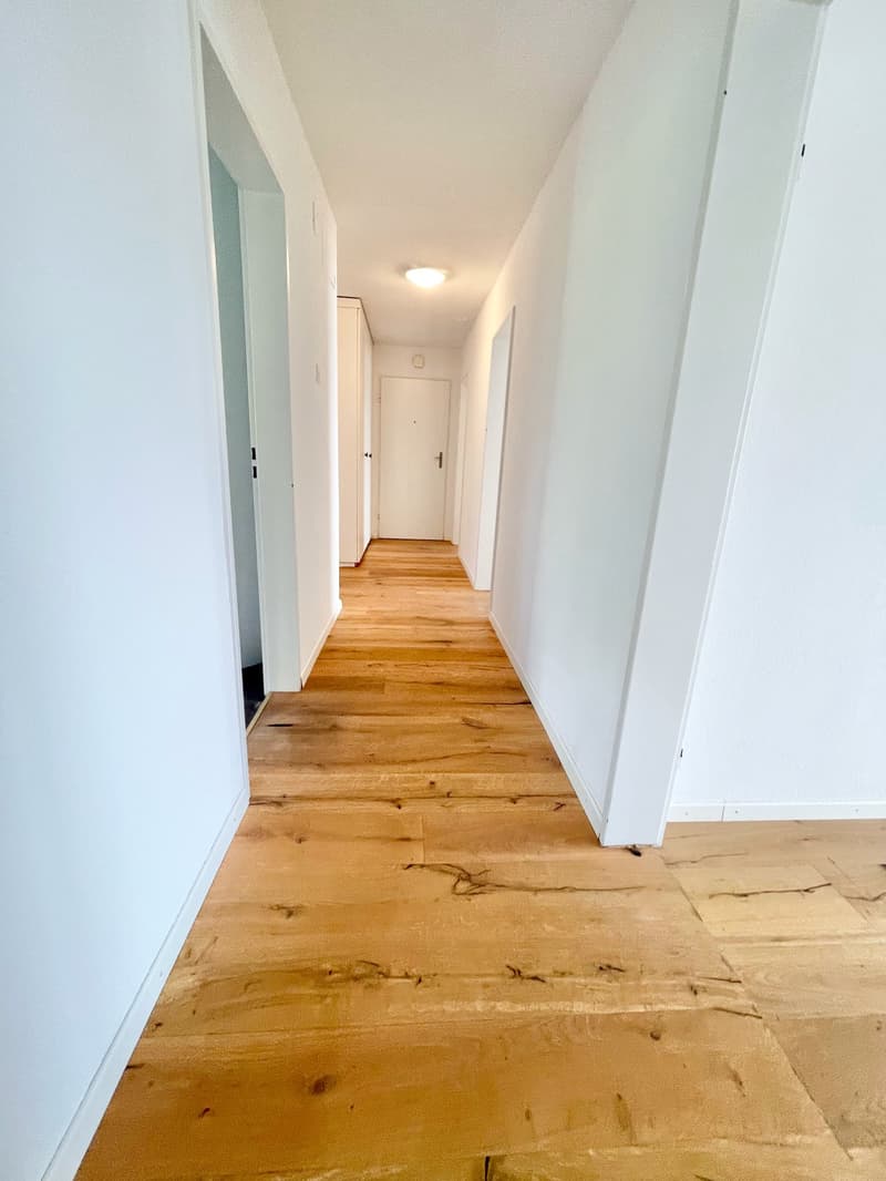Preiswerte, grosszügige 4.5 Zimmer Wohnungen an Hanglage mit genialer Panoramasicht (8)