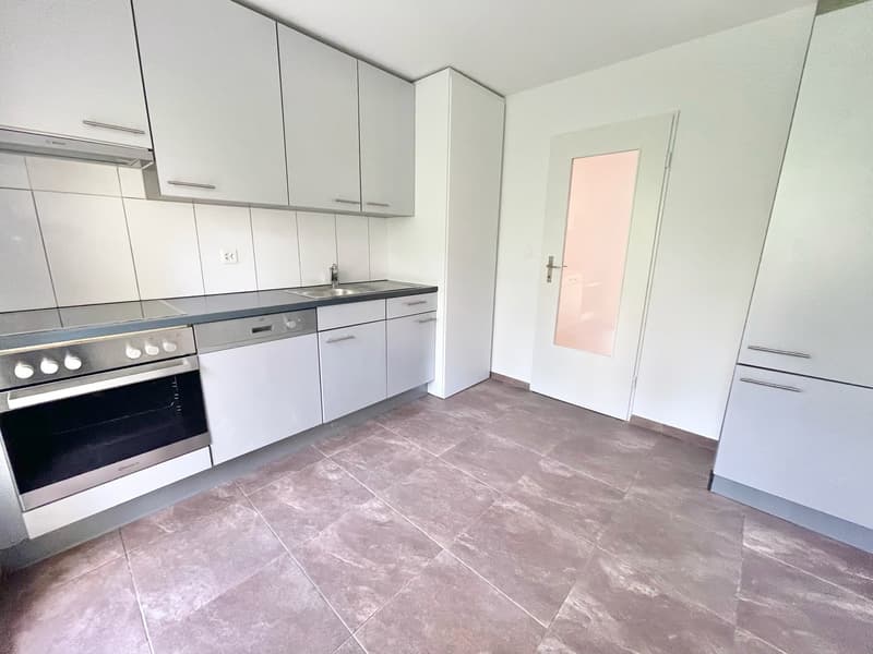 Preiswerte, grosszügige 4.5 Zimmer Wohnungen an Hanglage mit genialer Panoramasicht (1)
