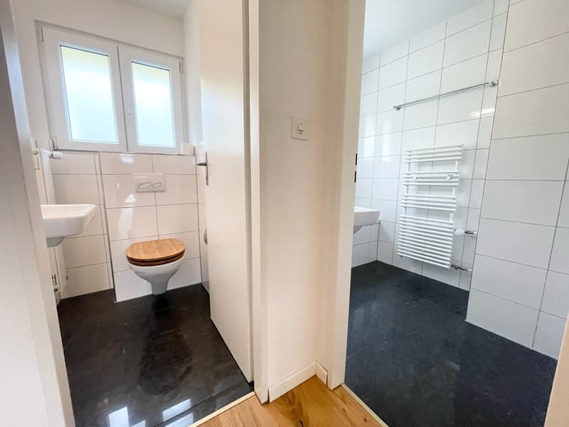 Preiswerte, grosszügige 4.5 Zimmer Wohnungen an Hanglage mit genialer Panoramasicht (15)