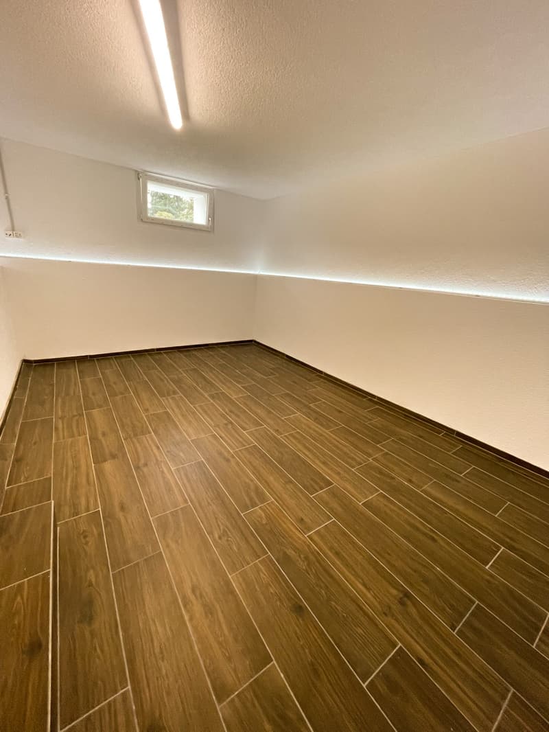 TOP Hobbyraum neben Emmencenter zu vermieten (2)