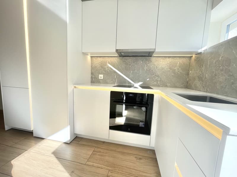 TOP MODERNE 3.5 ZIMMER WOHNUNG ZENTRAL IN EMMENBRÜCKE (1)