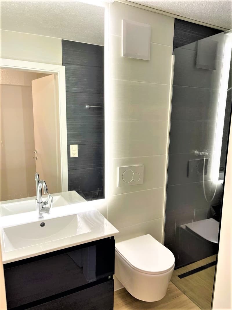 TOP MODERNE 3.5 ZIMMER WOHNUNG ZENTRAL IN EMMENBRÜCKE (12)