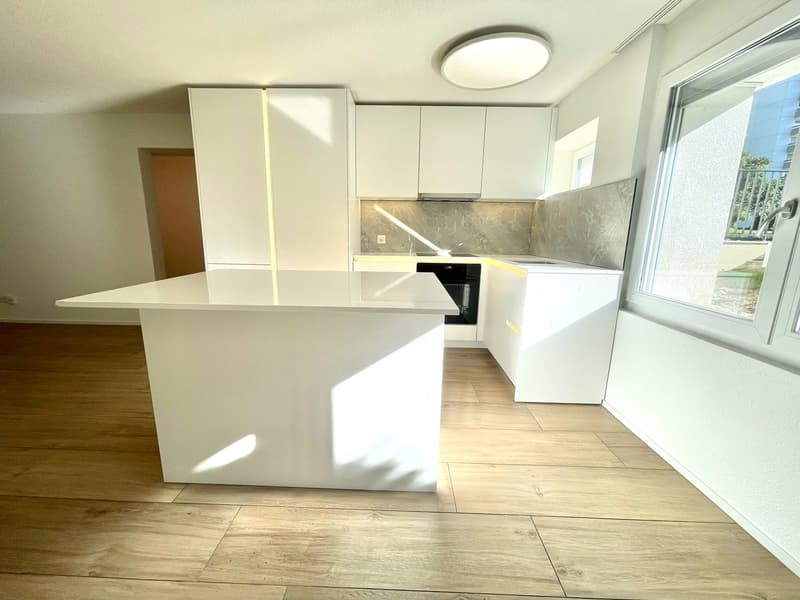 TOP MODERNE 3.5 ZIMMER WOHNUNG ZENTRAL IN EMMENBRÜCKE (5)