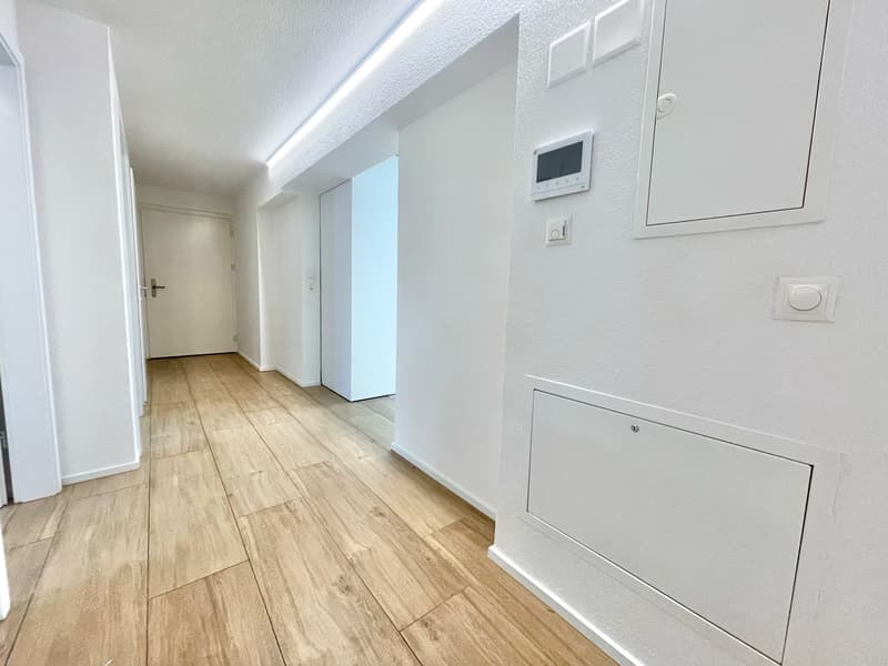 TOP MODERNE 3.5 ZIMMER WOHNUNG ZENTRAL IN EMMENBRÜCKE (6)