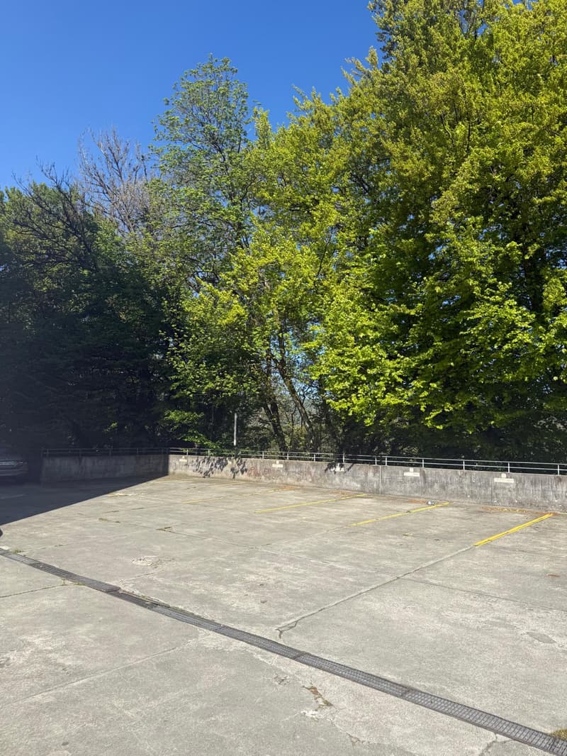 Empty parking lot with concrete floor, metal railings, and trees in the background