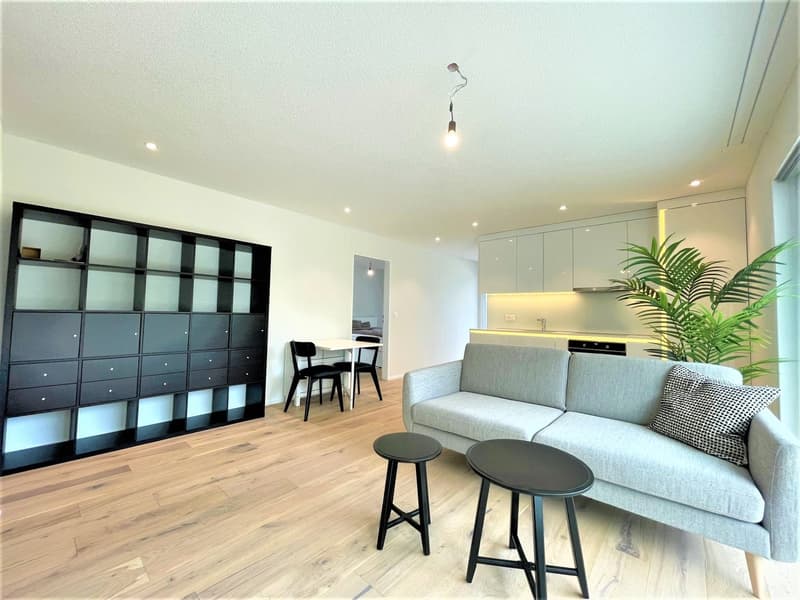 Appartement moderne 2 pièces avec balcon à Brunegg (8)