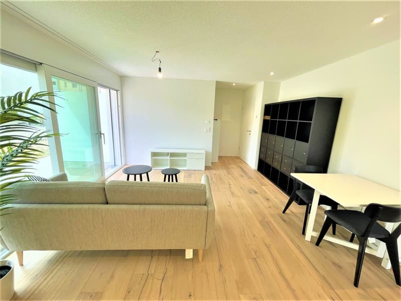 Appartement moderne 2 pièces avec balcon à Brunegg (2)