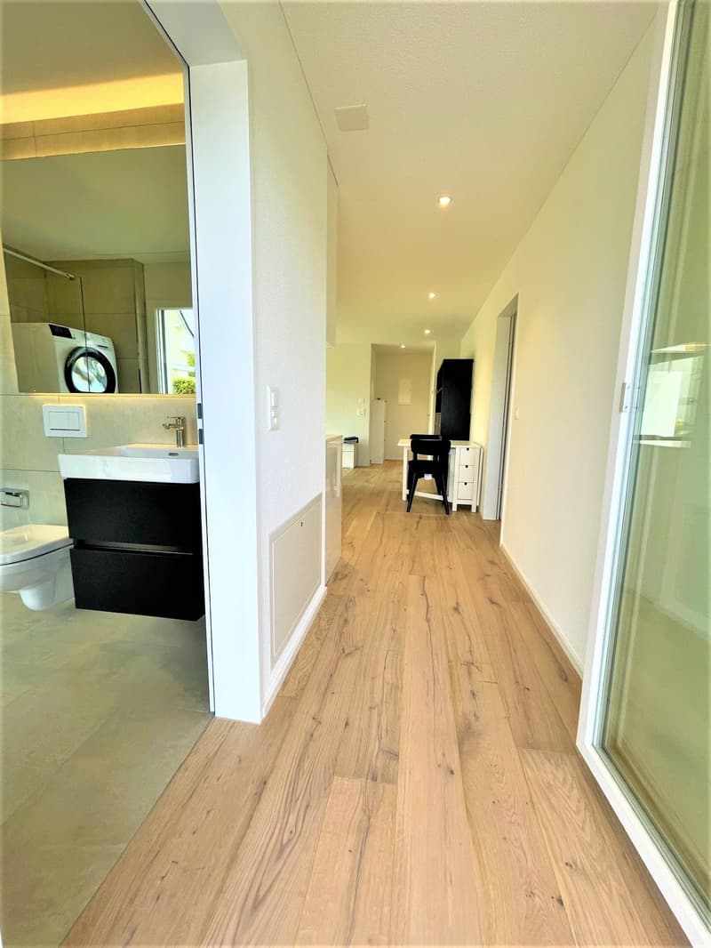 Appartement moderne 2 pièces avec balcon à Brunegg (6)