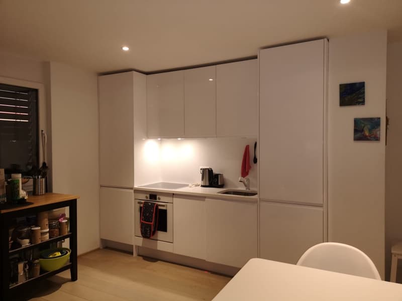 Appartamento accogliente di 2.5 locali con balcone a Buchs AG (4)