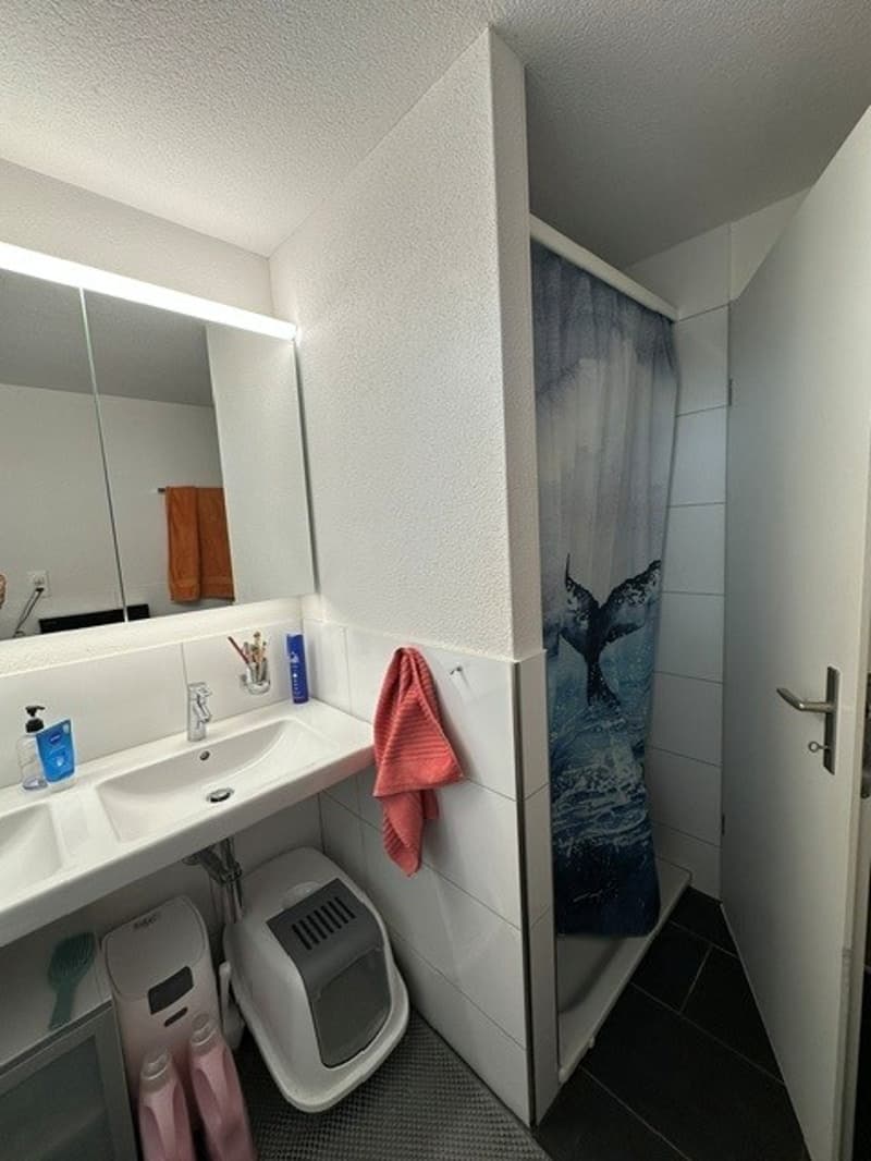 Appartamento di 4,5 locali con balcone a Neuenkirch (4)