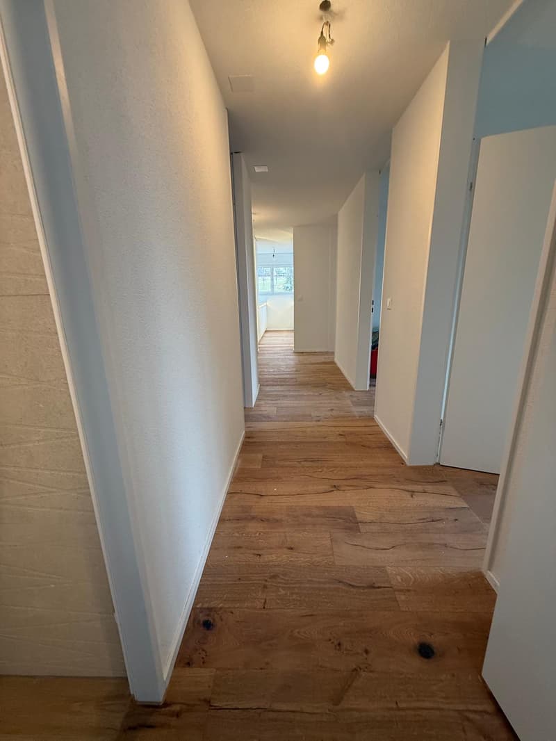 Appartement spacieux 4.5 pièces avec balcon à Hägendorf (8)