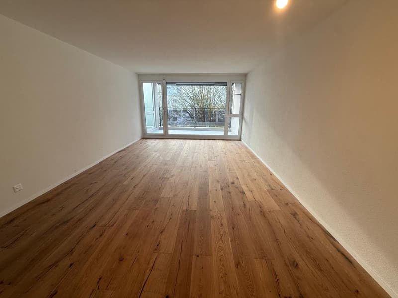 Appartement spacieux 4.5 pièces avec balcon à Hägendorf (12)