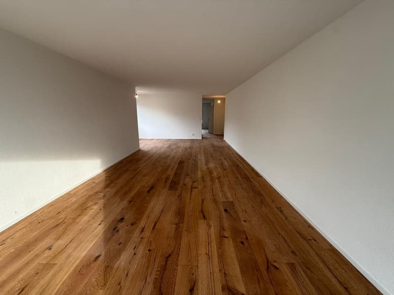 Appartement spacieux 4.5 pièces avec balcon à Hägendorf (11)