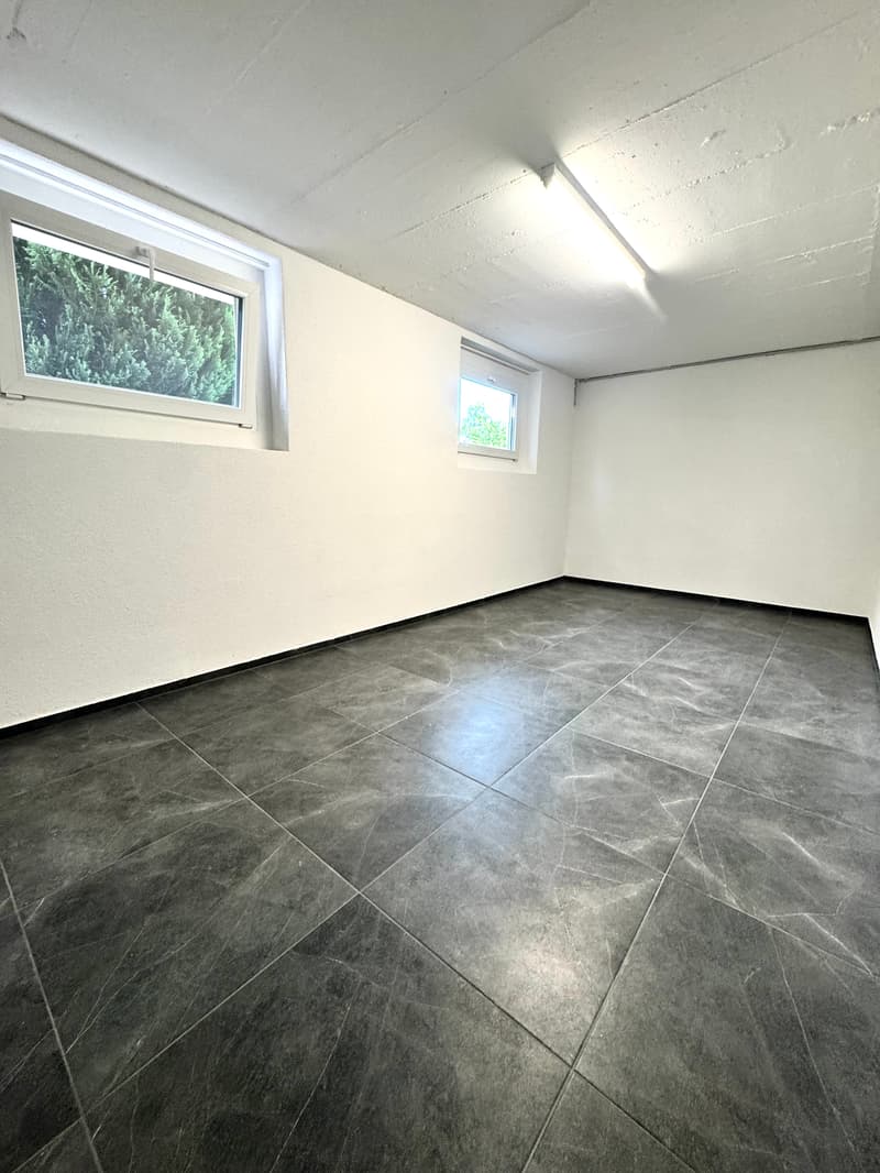 Hobby rooms for rent in Niedergösgen (7)
