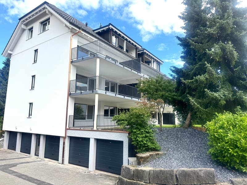 Hobby rooms for rent in Niedergösgen (1)