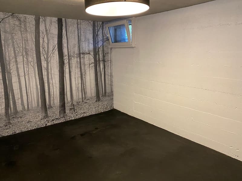 TOP hobby room incl. WC on site for rent! (2)