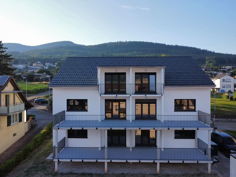 Incantevole appartamento di 3,5 locali al piano terra a Wangen bei Olten – disponibile immediatamente! (15)