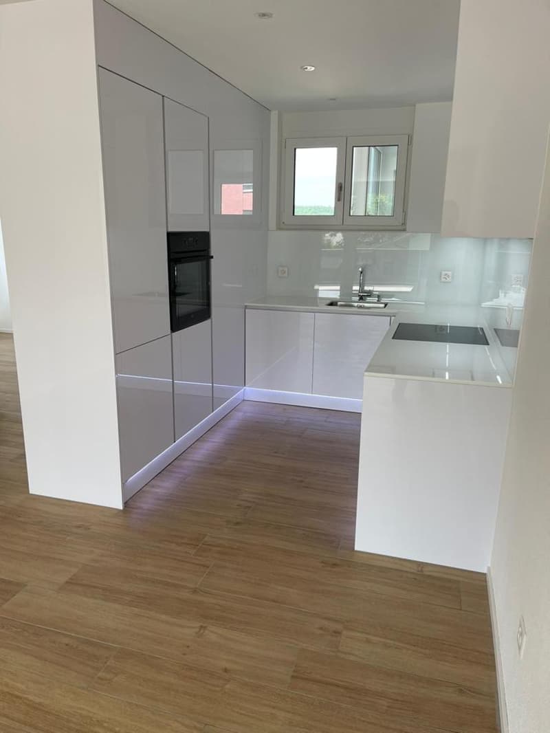 Moderne 3.5-Zimmer-Wohnung mit Bergblick in Emmen (1)
