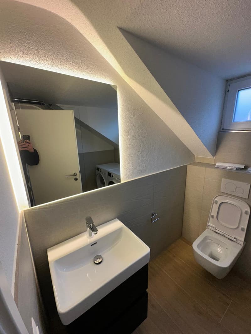 Ottimi appartamenti in mansarda di 2,5 locali a Wangen bei Olten (4)