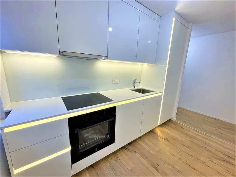 Ottimi appartamenti in mansarda di 2,5 locali a Wangen bei Olten (6)
