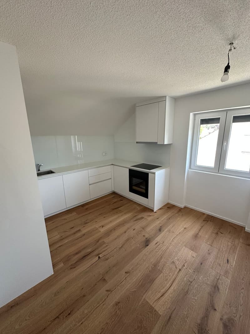 Ottimi appartamenti in mansarda di 2,5 locali a Wangen bei Olten (1)