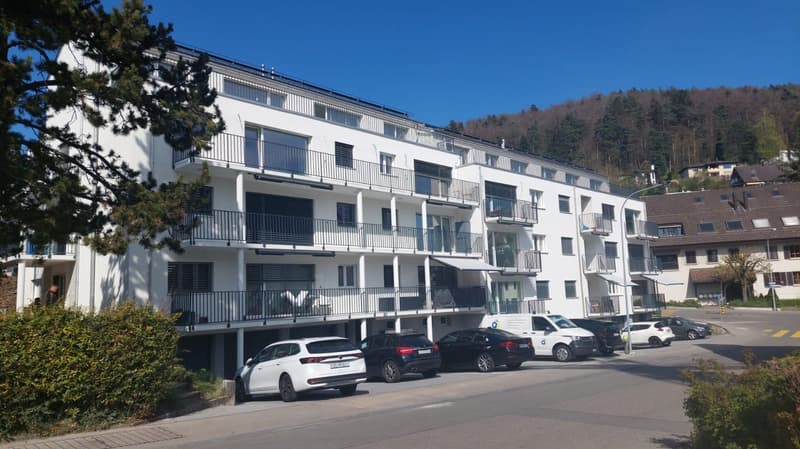 Single garage in a quiet location in Geroldswil for rent (1)