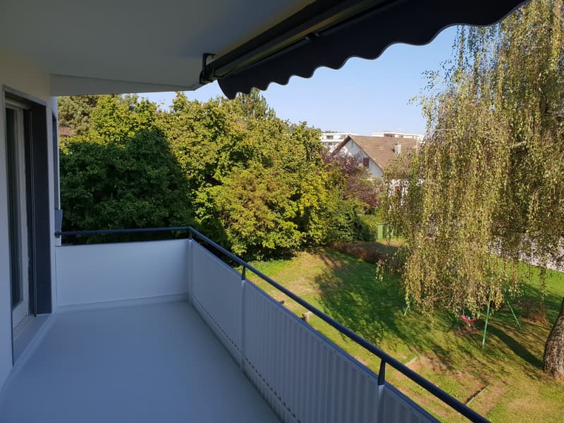 Helle 5.5-Zimmer-Wohnung mit Balkon und schöner Aussicht in Oftringen (5)