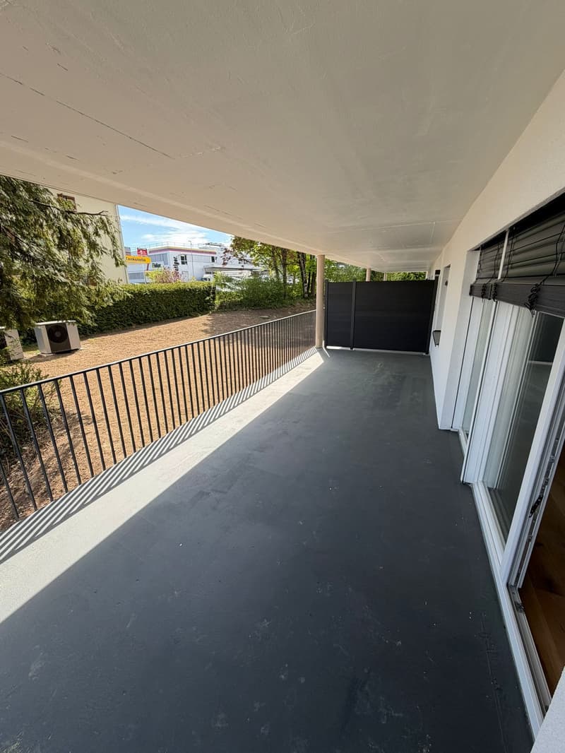 FIRST RENTAL: Beautiful 3.5 room apartments in Dottikon (9)