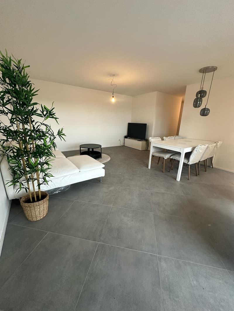 Superbes appartements 3.5 pièces dans un emplacement de premier choix (4)