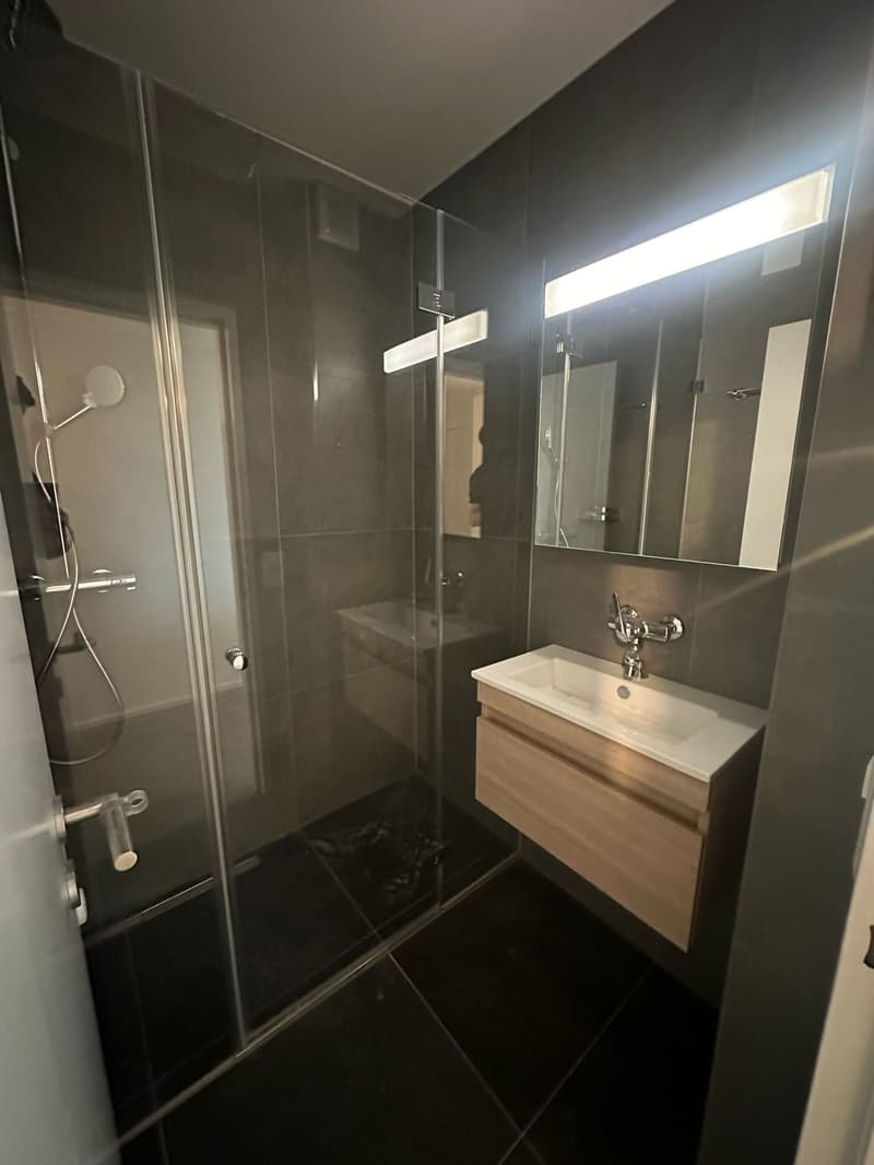 Superbes appartements 3.5 pièces dans un emplacement de premier choix (6)