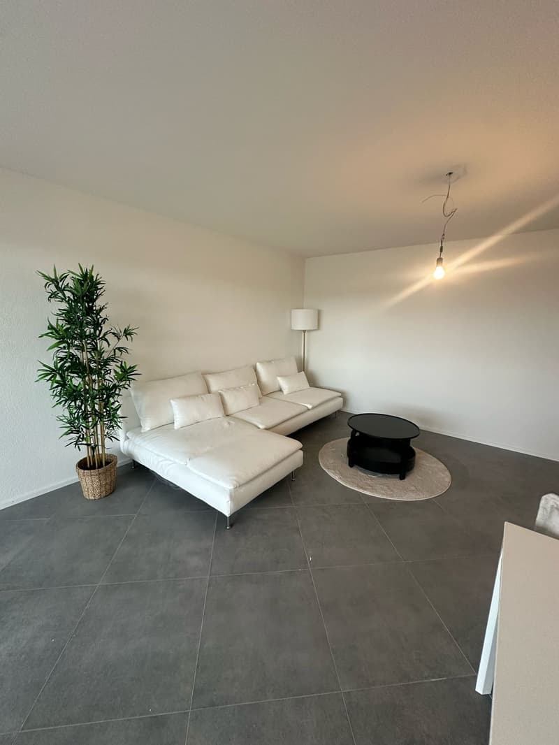Superbes appartements 3.5 pièces dans un emplacement de premier choix (5)