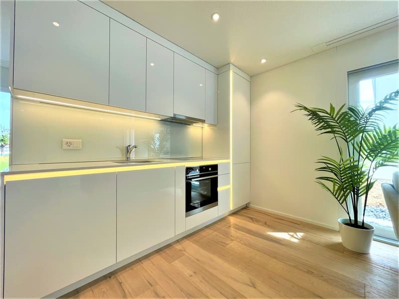 Appartamento moderno 2 locali con balcone a Brunegg (2)
