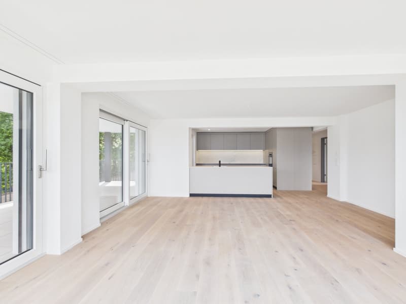 Appartement en propriété de 4,5 pièces avec vue sur le lac, la ville et les montagnes ! (5)