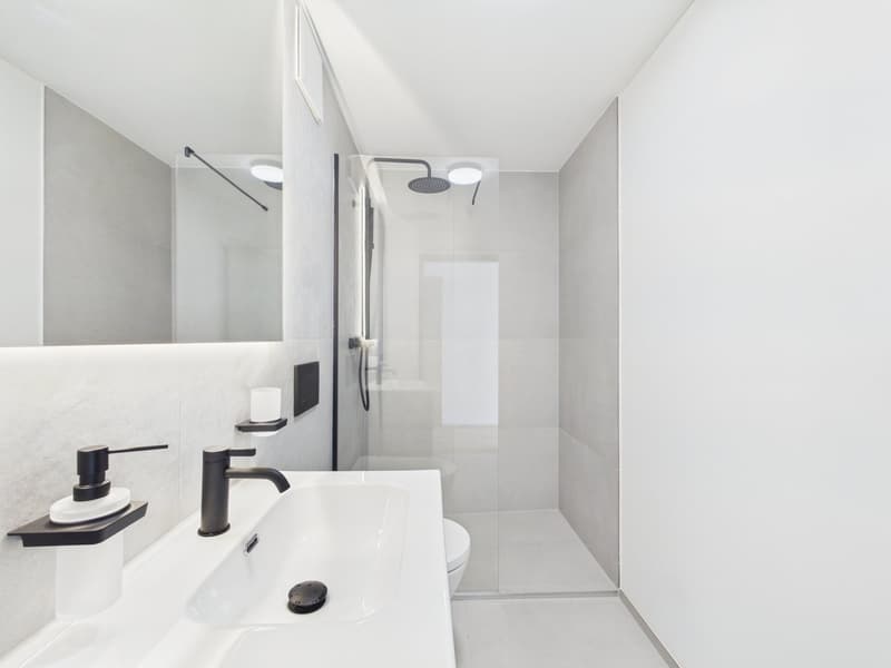 Appartement en propriété de 4,5 pièces avec vue sur le lac, la ville et les montagnes ! (9)