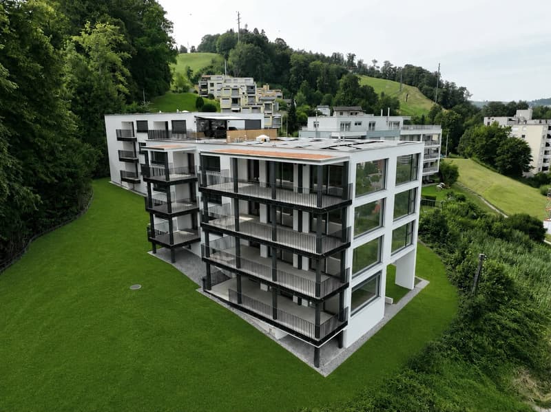 Appartement en propriété de 4,5 pièces avec vue sur le lac, la ville et les montagnes ! (16)