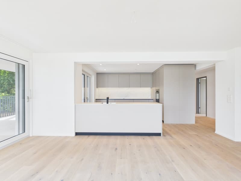 Appartement en propriété de 4,5 pièces avec vue sur le lac, la ville et les montagnes ! (4)