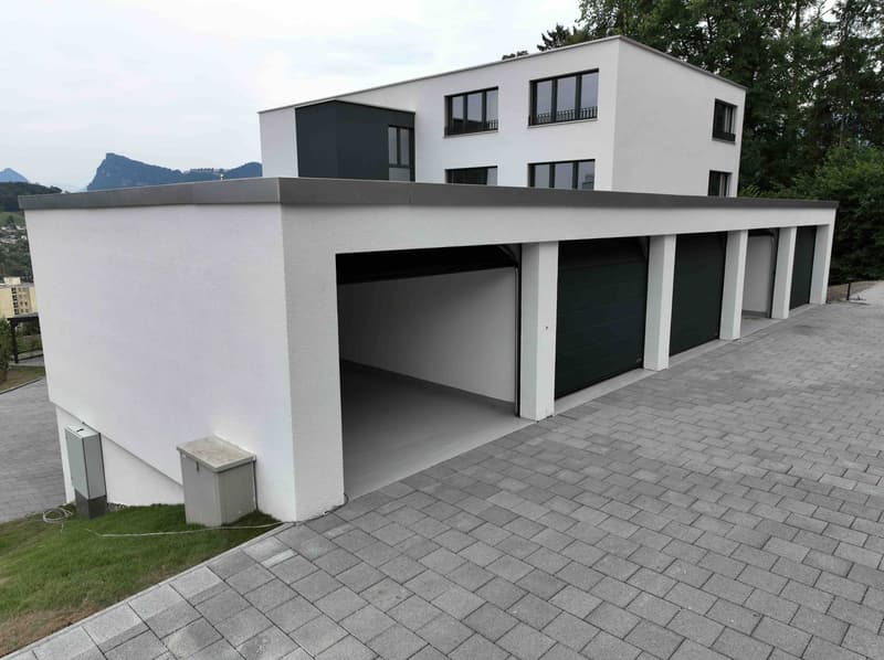 3.5-room owner-occupied apartment with lake, city, and mountain views! (11)