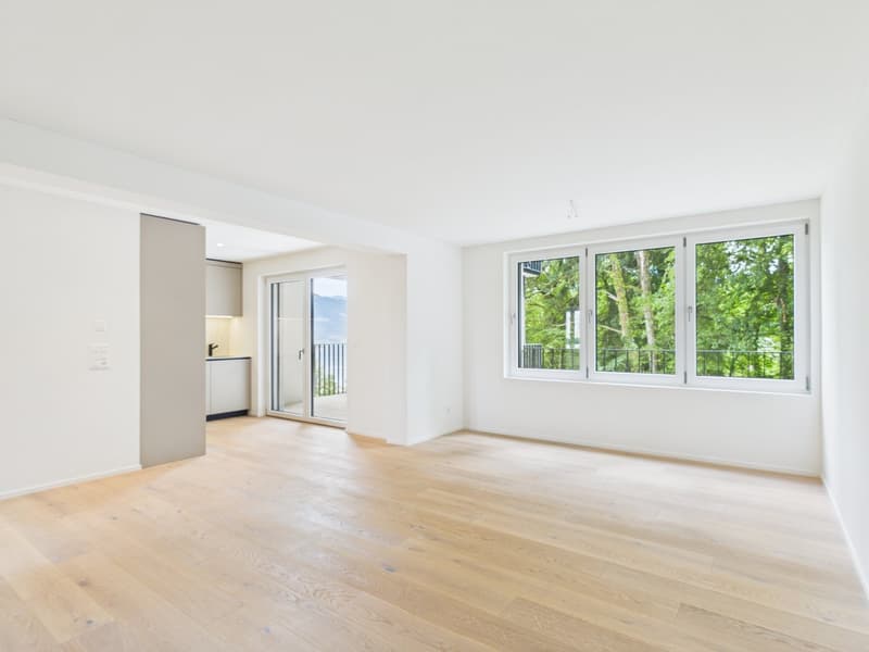 3.5-room owner-occupied apartment with lake, city, and mountain views! (2)