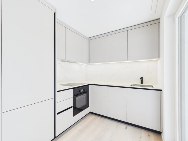 3.5-room owner-occupied apartment with lake, city, and mountain views! (3)