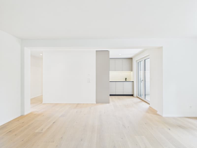 3.5-room owner-occupied apartment with lake, city, and mountain views! (1)