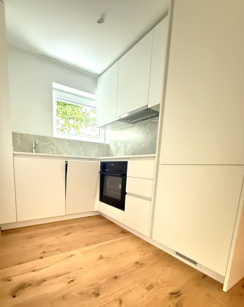 PREMIÈRE LOCATION : Beaux appartements 2,5 pièces à Dottikon (5)