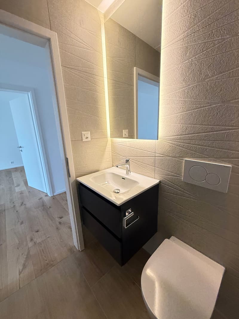 PREMIÈRE LOCATION : Beaux appartements 2,5 pièces à Dottikon (3)