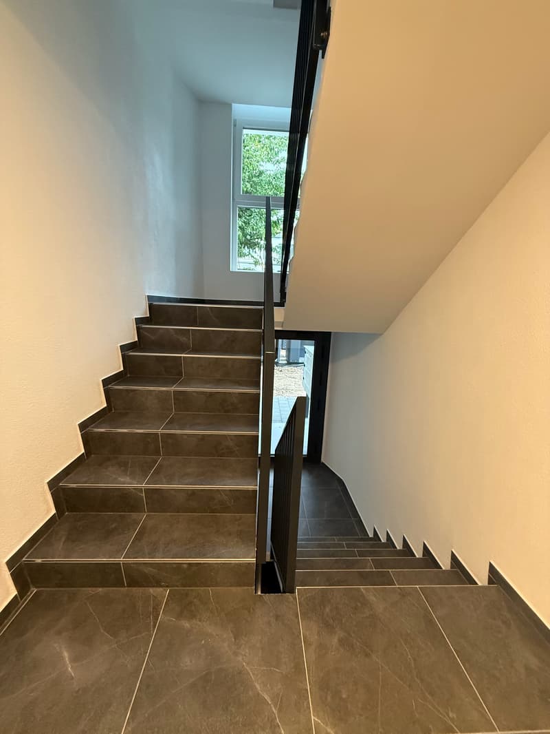 PREMIÈRE LOCATION : Beaux appartements 2,5 pièces à Dottikon (9)