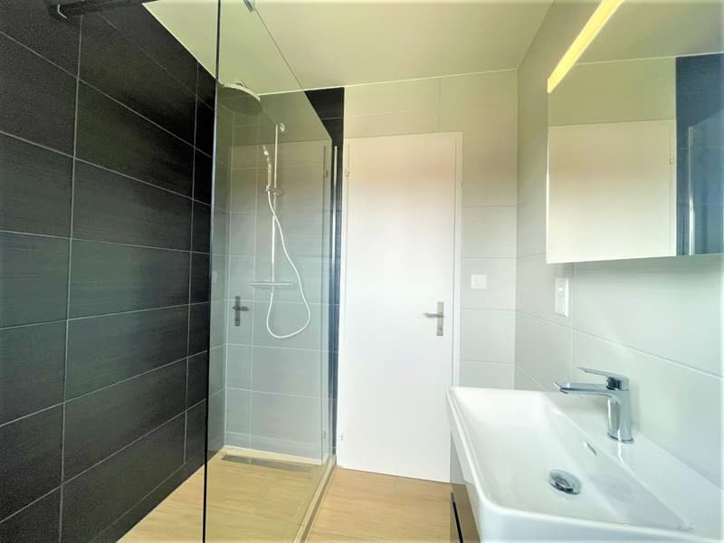 Charmante 4.5-Zimmer-Wohnung in ruhiger Lage von Erlinsbach (9)