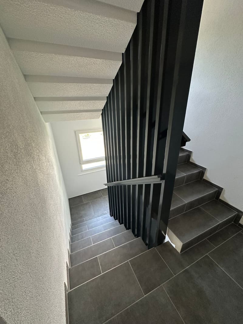 ERSTVERMIETUNG: Wunderschöne 2.5 Zimmer Attika-Wohnungen in Wangen bei Olten (15)